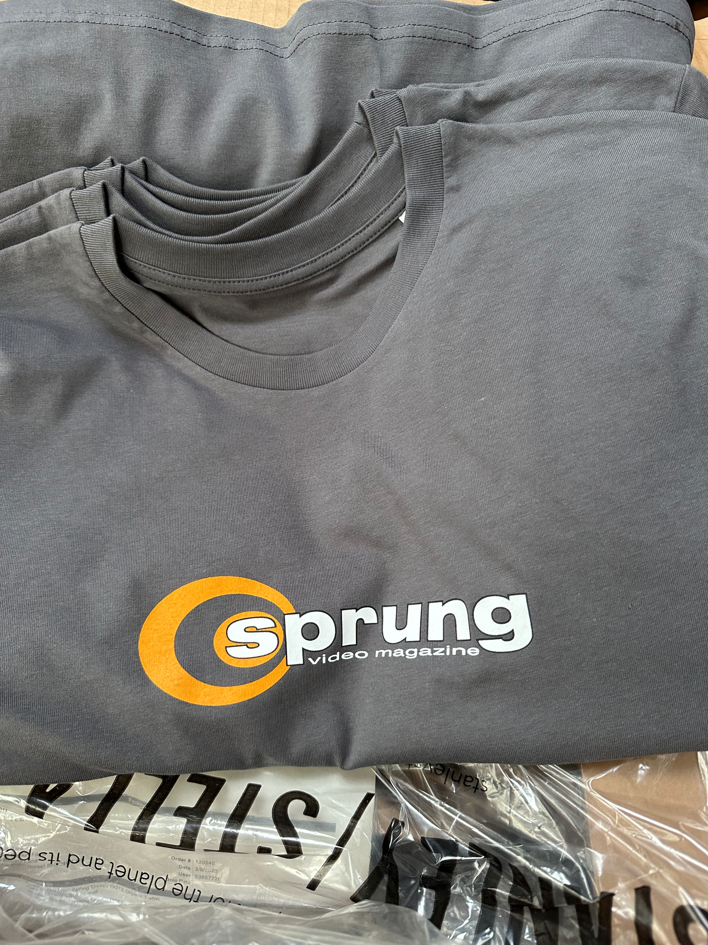 Sprung Video T- Shirt Grey