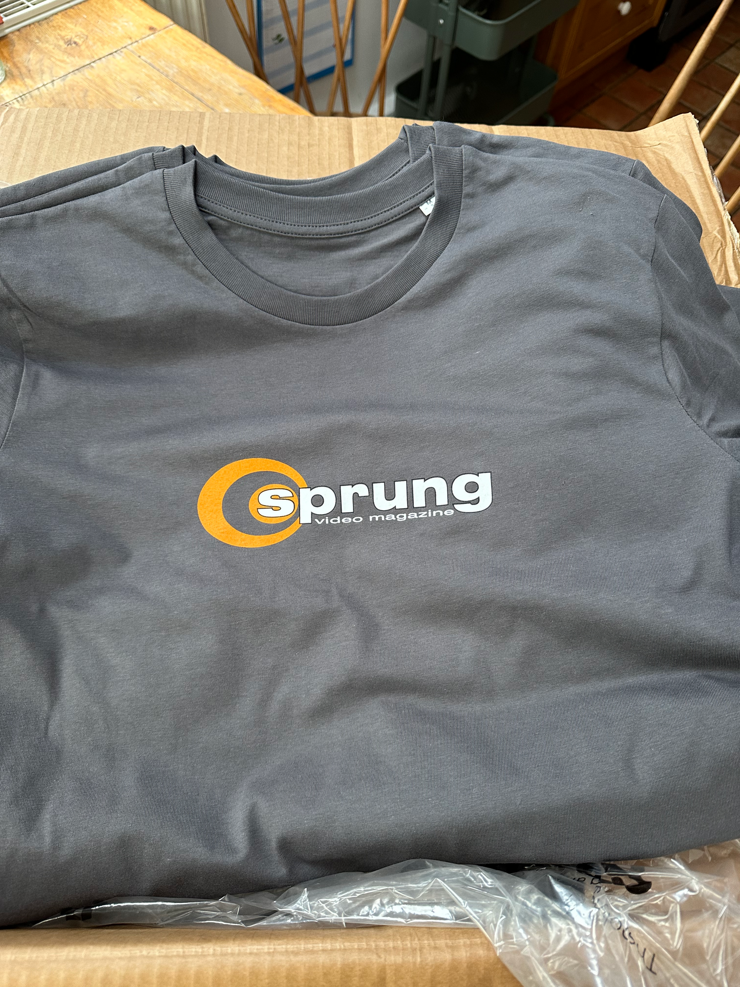 Sprung Video T- Shirt Grey