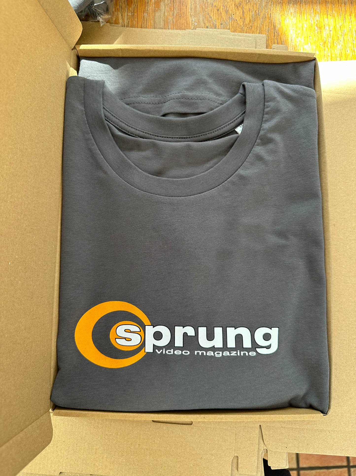 Sprung Video T- Shirt Grey